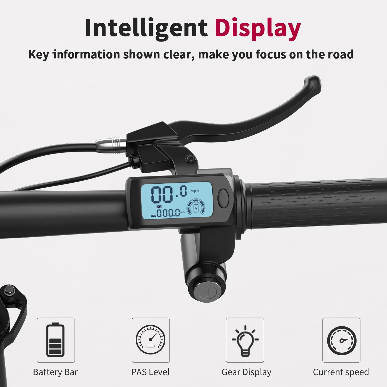 Electric Scooter for Adults