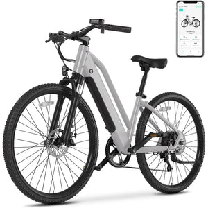 New Electric Bike for Adults