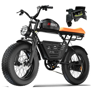 CT20Pro Electric Bike for Adults